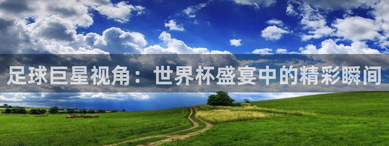 世界杯预选赛2026:足球巨星视角:世界杯盛宴中的精彩瞬间