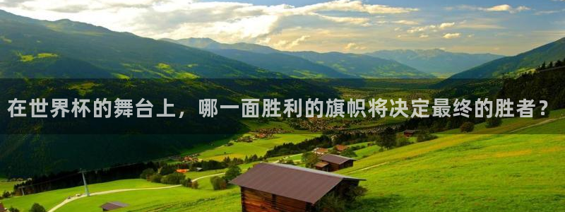 世界杯球赛：在世界杯的舞台上，哪一面胜利的旗帜将决定最终的胜者？