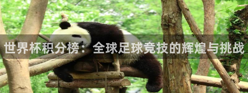 2026世界杯预选赛：世界杯积分榜：全球足球竞技的辉煌与挑战