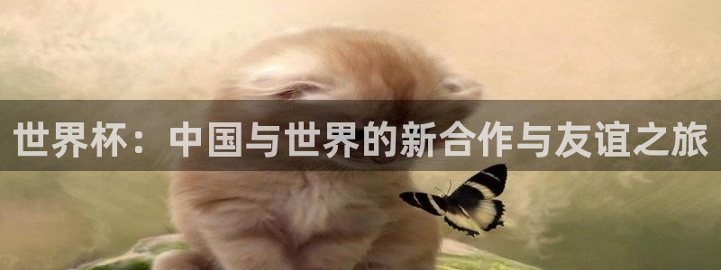 世界杯足球比赛：世界杯：中国与世界的新合作与友谊之旅
