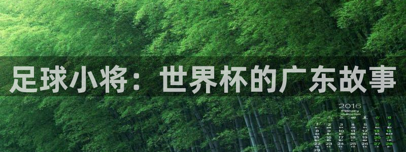 澳门世界杯直播：足球小将：世界杯的广东故事