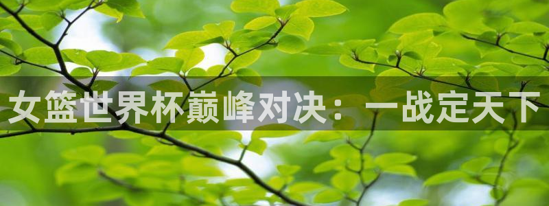 世界杯对阵表：女篮世界杯巅峰对决：一战定天下