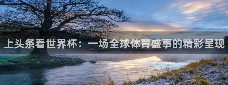 世界杯16强赛程表：上头条看世界杯：一场全球体育盛事的精彩呈现