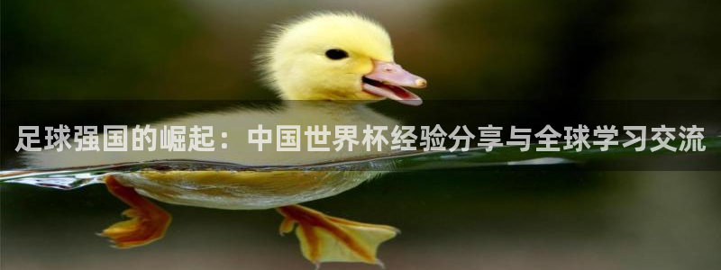 世界杯 直播：足球强国的崛起：中国世界杯经验分享与全球学习交流