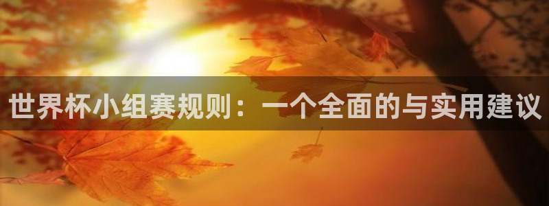 2026世界杯直播：世界杯小组赛规则：一个全面的与实用建议