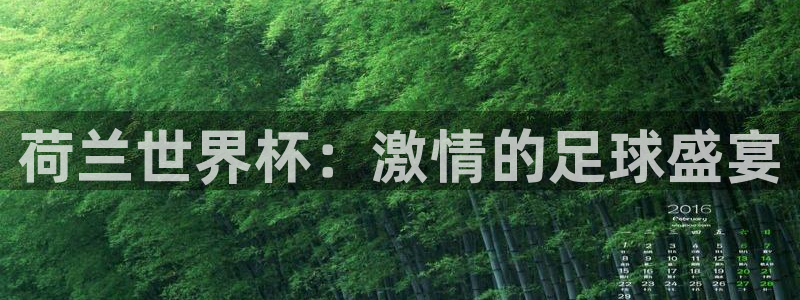 欧洲世预赛赛程表：荷兰世界杯：激情的足球盛宴