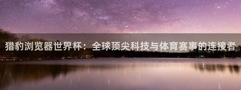 世界杯球队排名：猎豹浏览器世界杯：全球顶尖科技与体育赛事的连接者