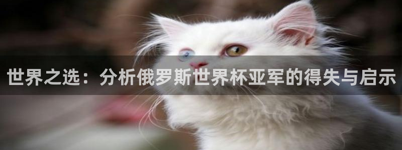 世界杯预选赛欧洲区赛程：世界之选：分析俄罗斯世界杯亚军的得失与启示